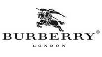 burberryy - Burberry BE4271 Modeli