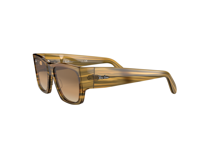 0RB2187 131351 3 - Ray-Ban RB2187 Modeli